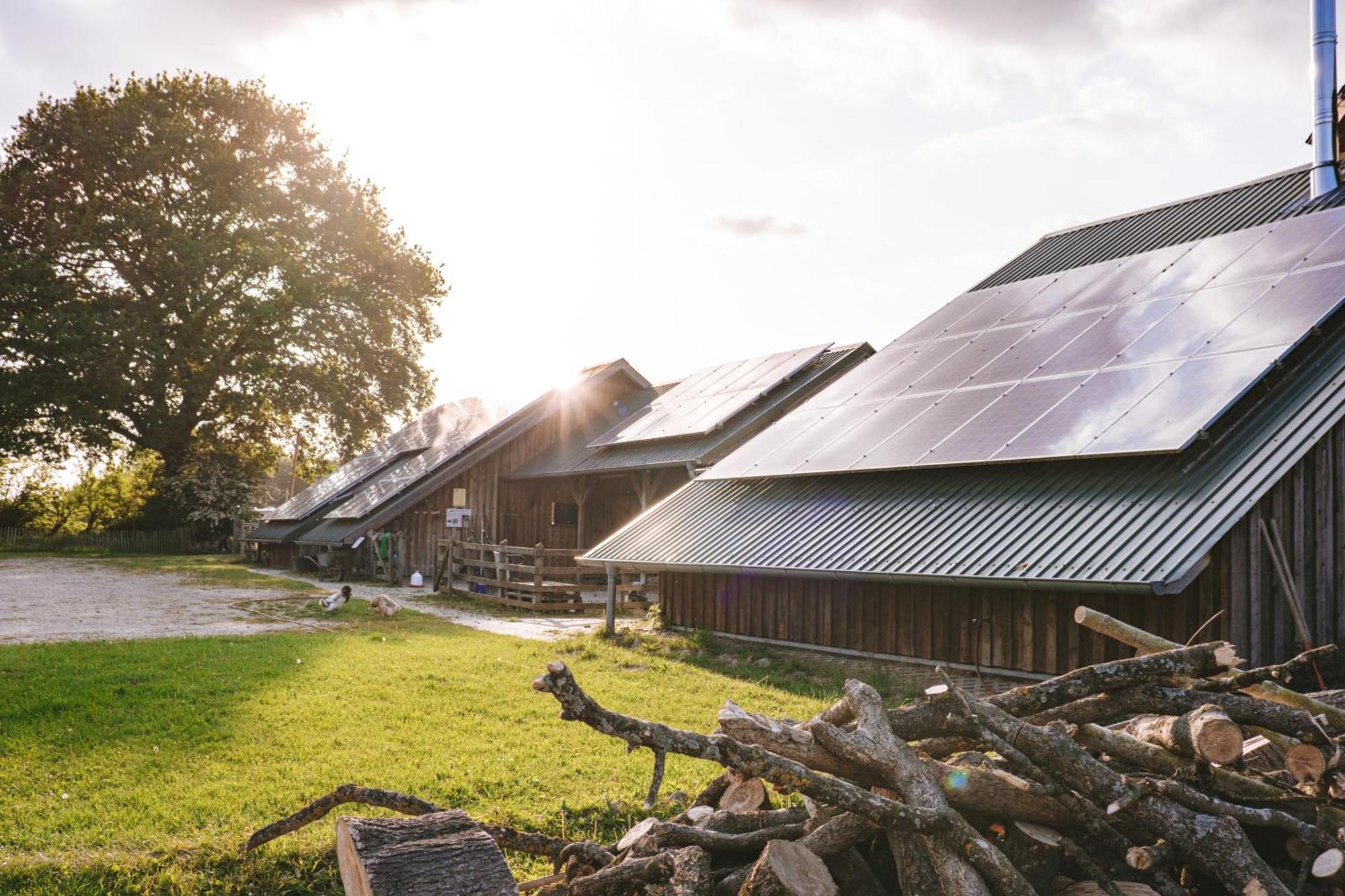 Hotel Domo Camp - Nature Glamping Hof Viehbrook Rendswuhren Exterior foto